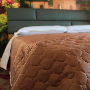 Lion Luxury Guest house Rome